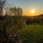 Gemuetliche Mit Garten In