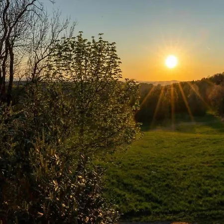 Gemuetliche Mit Garten In